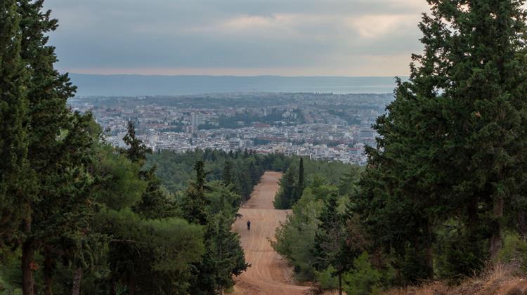 Πρόγραμμα AntiNero: Αυτοψία στα Έργα Δασοπροστασίας στο Σέιχ Σου